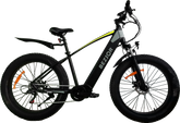 BEZIOR XF800 500W Electric Bicycles Green